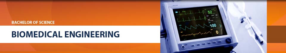 Biomedical Engineering Program Header Image