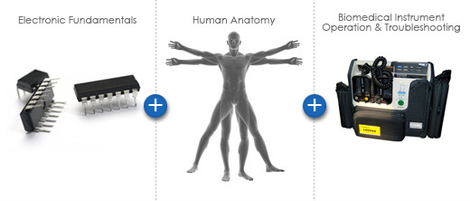 Biomedical Technology Courses Overview